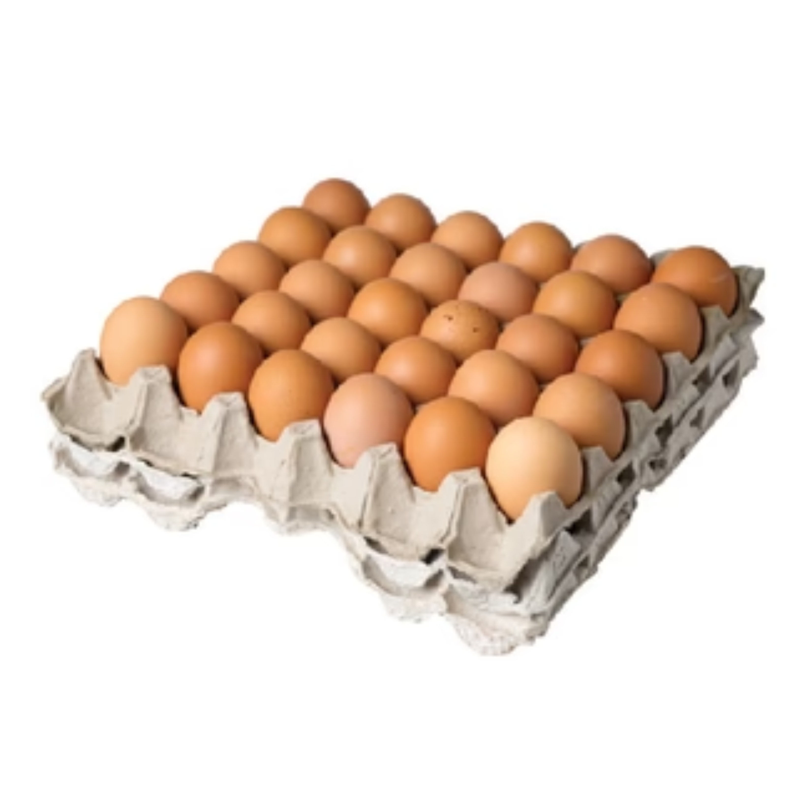 Eggs 1 Tray